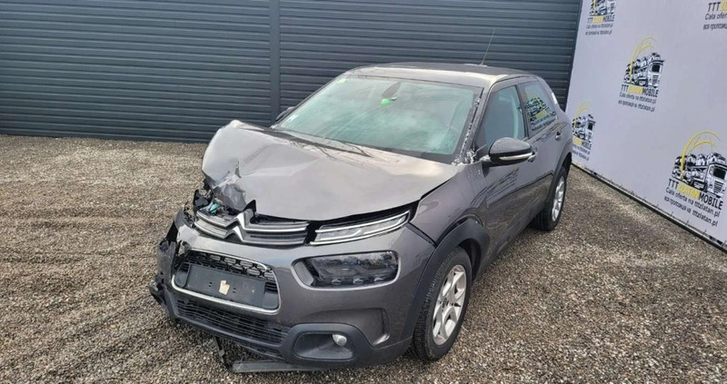Citroen C4 Cactus cena 19800 przebieg: 83731, rok produkcji 2019 z Koprzywnica małe 211